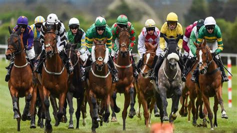 horse racing odds api